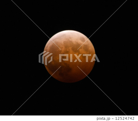 2014年10月8日の皆既月食 12524742