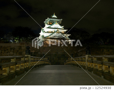 大阪城極楽橋の夜景 12524930