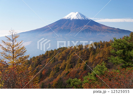 三つ峠山の紅葉 12525055