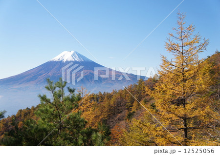三つ峠山の紅葉 12525056