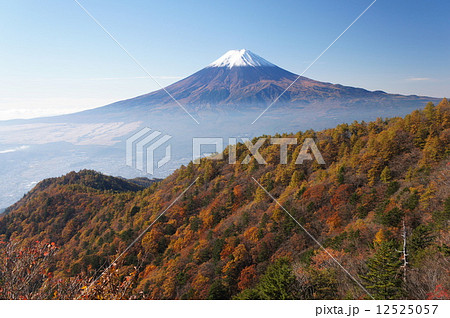 三つ峠山の紅葉 12525057