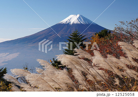 三つ峠山の紅葉 12525058