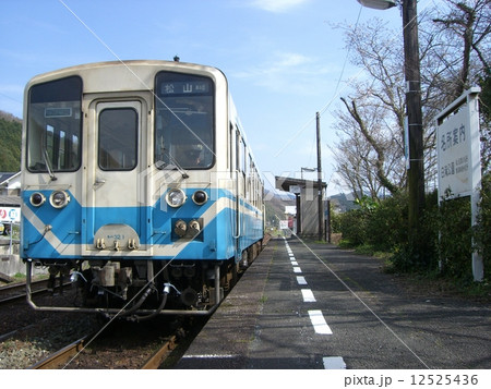 伊予白滝 伊予白滝 12525436