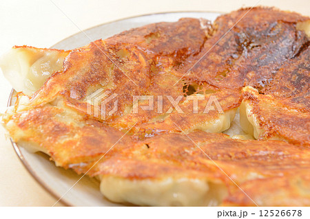 おいしい焼餃子 12526678