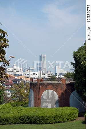 根岸森林公園からのランドマークタワー 12526775