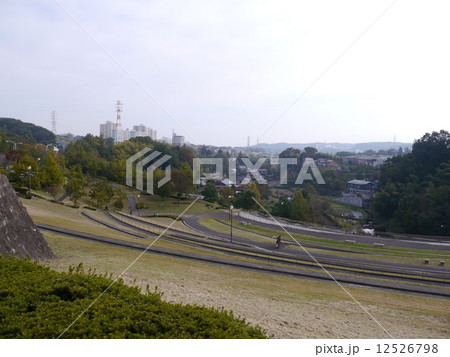 若葉台公園と谷戸 若葉台公園と谷戸 12526798