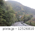 奥多摩 12526810