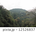 奥多摩 12526837