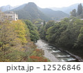 奥多摩 12526846
