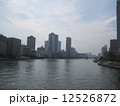 勝どき 12526872