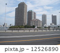 佃 12526890