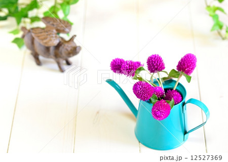 ナチュラルイメージ ナチュラルイメージ 12527369