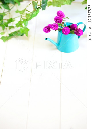 ナチュラルイメージ ナチュラルイメージ 12527373