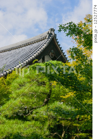 永観堂禅林寺 12527774