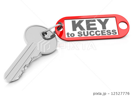 the key to success 12527776
