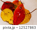 紅葉と水滴 12527863
