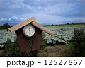 時計と畑 12527867