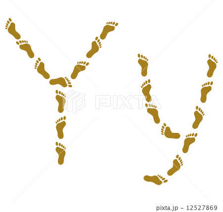 Traces, letter Y 12527869