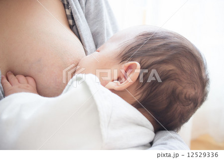 授乳　生後2ヶ月　赤ちゃん 12529336