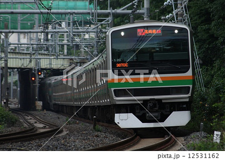 ［JS］湘南新宿ラインE231系（東海道線直通：特別快速） 12531162
