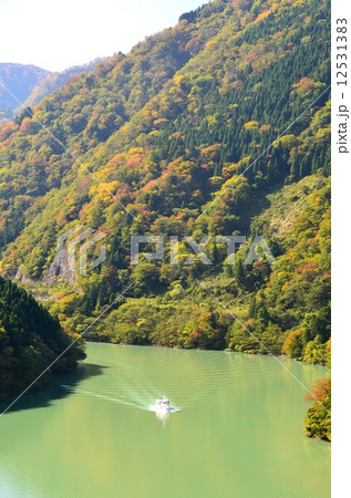 紅葉の庄川峡と遊覧船 12531383