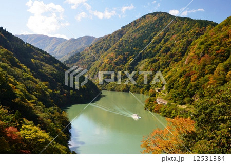 紅葉の庄川峡と遊覧船 紅葉の庄川峡と遊覧船 12531384