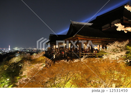 春の清水寺 12531450