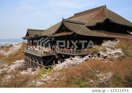 春の清水寺 12531454