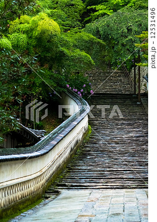 長谷寺の石段 長谷寺の石段 12531496