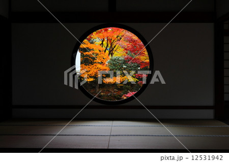 源光庵　悟りの窓からの紅葉 12531942