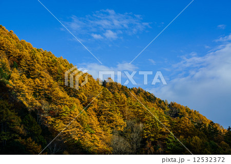 中房温泉の黄葉 12532372
