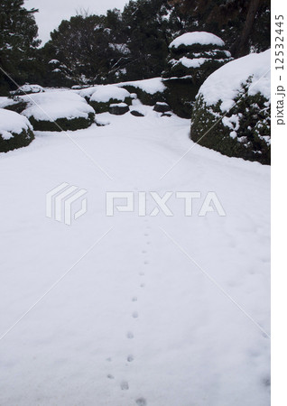 雪景色 そうだ奈良へ行こう 大和小泉 慈光院 雪景色 そうだ奈良へ行こう 大和小泉 慈光院 12532445