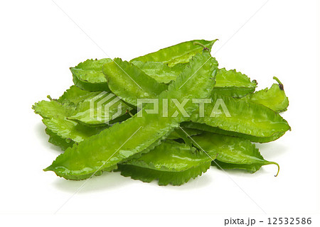 シカクマメ シカクマメ 12532586