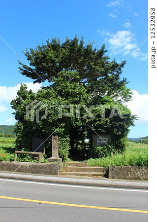 日本最古の井戸 玉乃井 日本最古の井戸 玉乃井 12532958