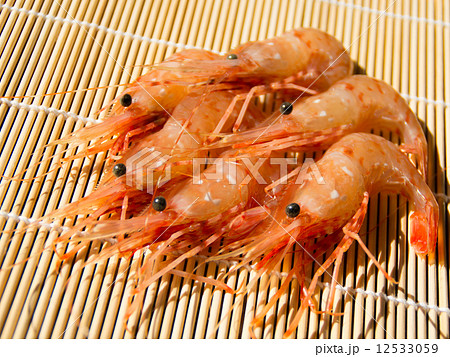 ボタンエビ 12533059