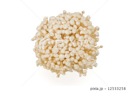 エノキダケ エノキダケ 12533258