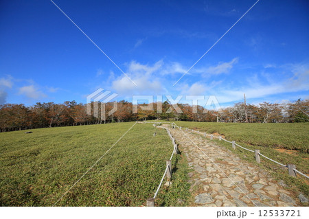 大台ケ原 牛石ヶ原 大台ケ原 牛石ヶ原 12533721