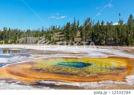 Yellowstone 12533784