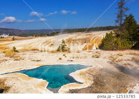 Yellowstone 12533785