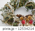 クリスマスカード,ナチュラル,リース,素材集 英語 クリスマスカード,ナチュラル,リース,素材集 英語 12534214