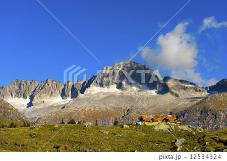 Care Alto - Adamello Trento Italy Care Alto - Adamello Trento Italy 12534324