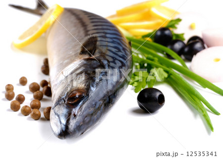 Mackerel 12535341