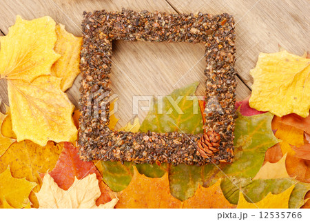 Fallen leaves with frame Fallen leaves with frame 12535766