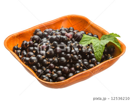 Black currant 12536210