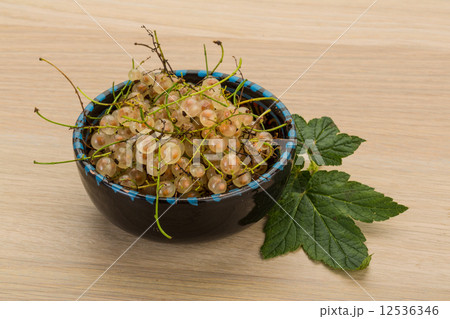 White currant White currant 12536346