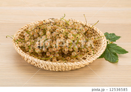 White currant 12536585