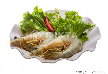 Tiger prawn 12536589