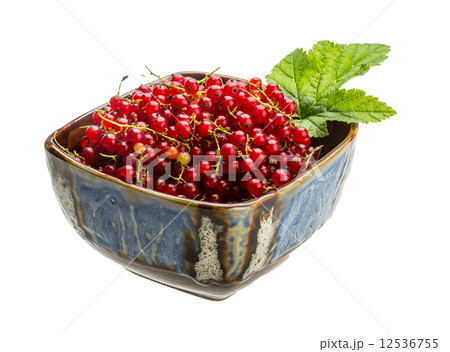 Red currant 12536755