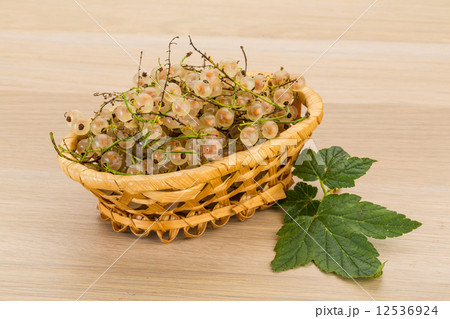 White currant White currant 12536924