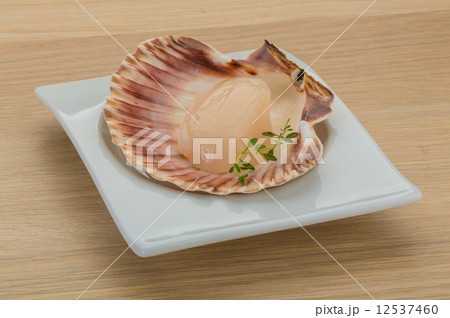 Raw scallops Raw scallops 12537460
